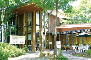 ���̉w���q�t���b�V���p�[�N�����@���X�g���������