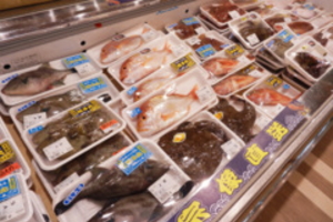 ���̉w�ނȂ����@���E��̋����