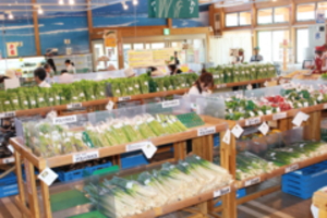 ���̉w�ނȂ����@�_�Y��