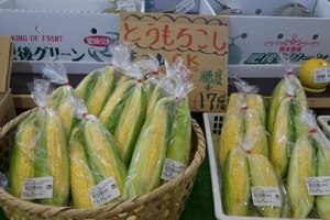 ���̉w�@���t�@�Ƃ����낱��