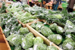 ���̉w�@�����Ƃ����X���@���Y�i�����