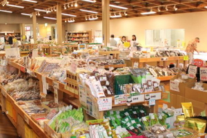 ���̉w�@���Ƃ��@���Y�i�����