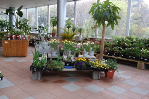 ���̉w�@�����ނ��@�ϗt�A��