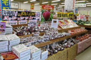 道の駅　豊崎　JAおきなわ食菜館 菜々色畑の特産品