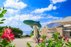沖縄美らうみ水族館