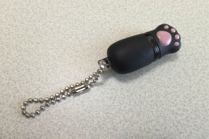 �Ód�C�����L�̎�L�[�z���_�[