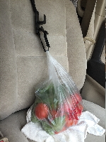 �V�[�g�t�b�N